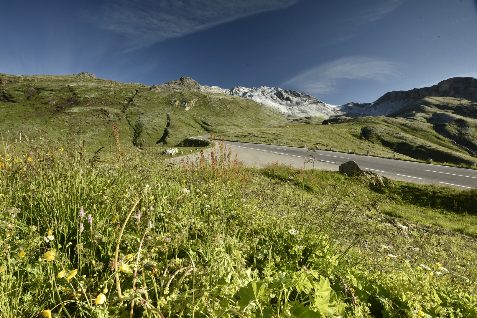 Almwiesen und Alpenstrasse