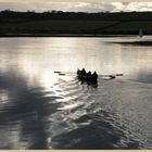 aln estuary in winter 2