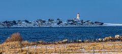 Alnes