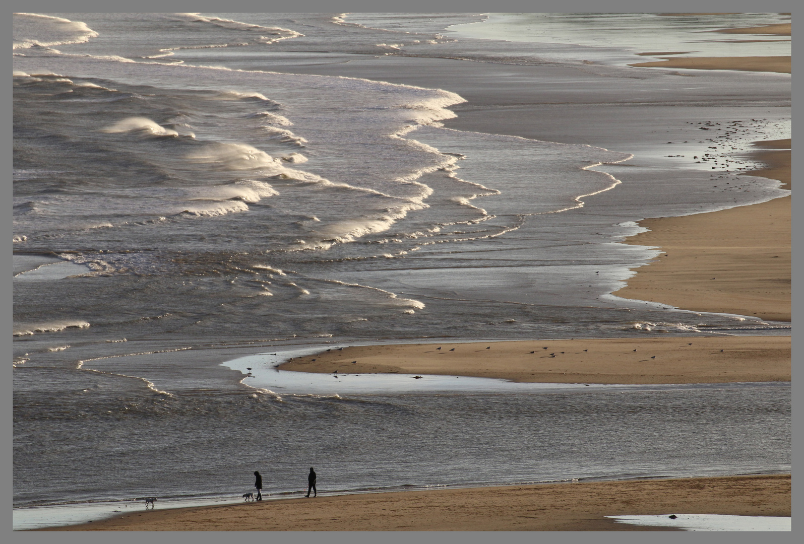 alnmouth bay from the common 10A