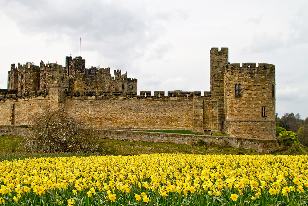 Alnwick Castle