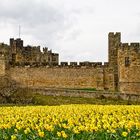 Alnwick Castle