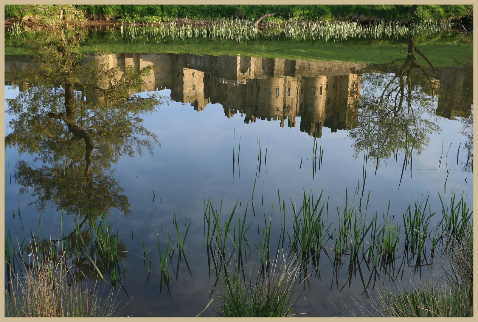 alnwick castle reflected