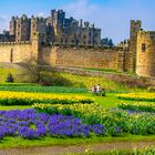 Alnwick Gardens 9th April 2018