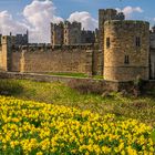 Alnwick Gardens 9th April 2018