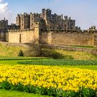 Alnwick Gardens 9th April 2018 NO3