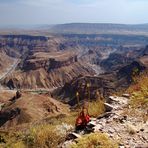 Aloe am Rande des Canyons