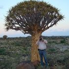 Aloe dichotoma