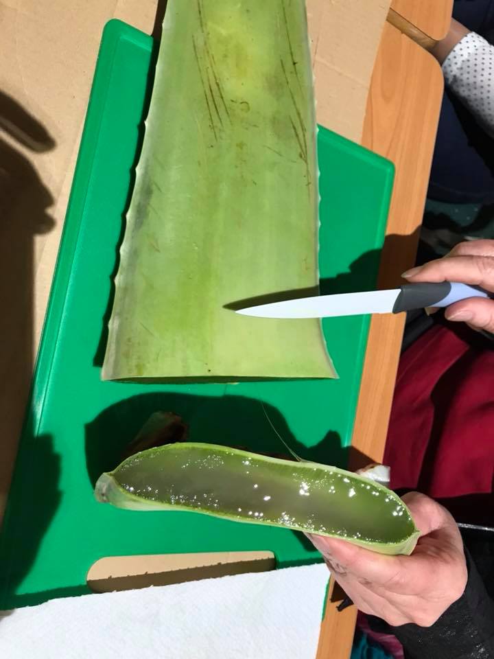 Aloe Vera Bio