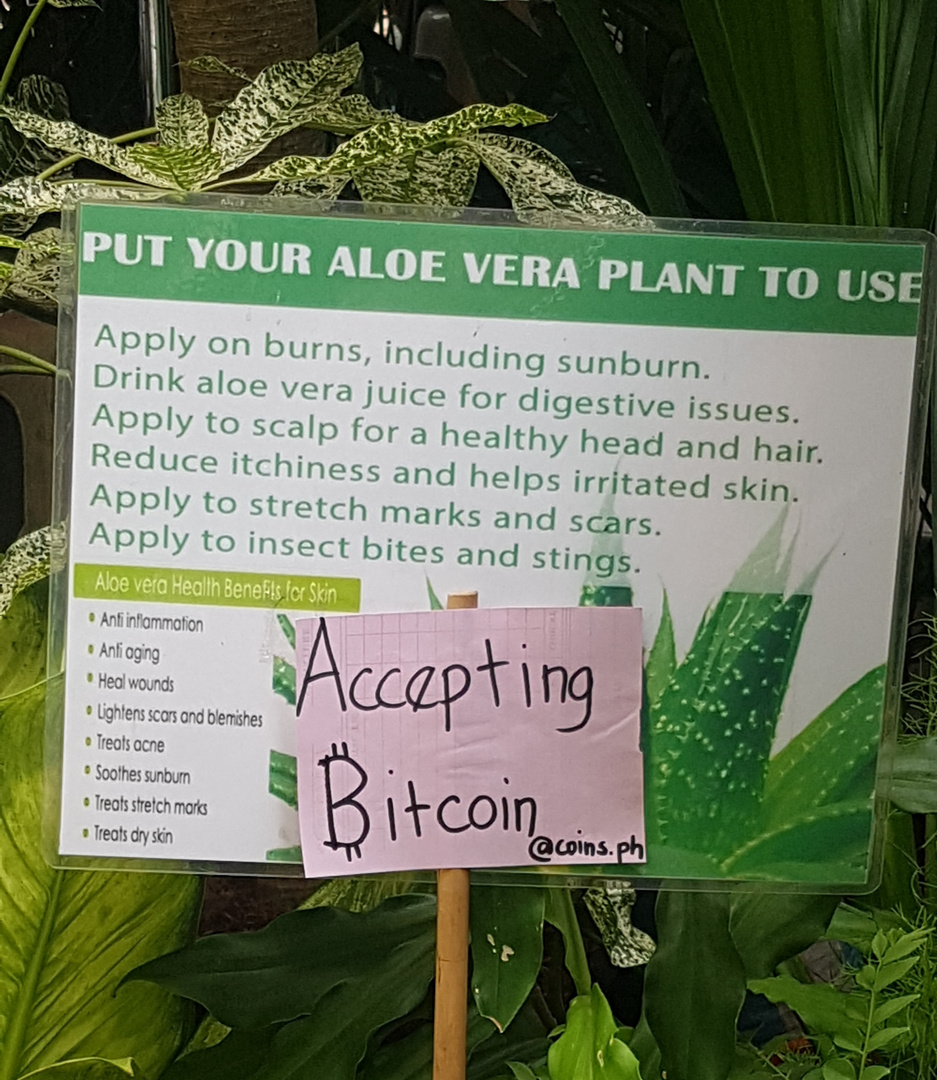 Aloe Vera gegen Bitcoin