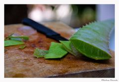 "Aloe Vera hilft bei Sonnenbrand"