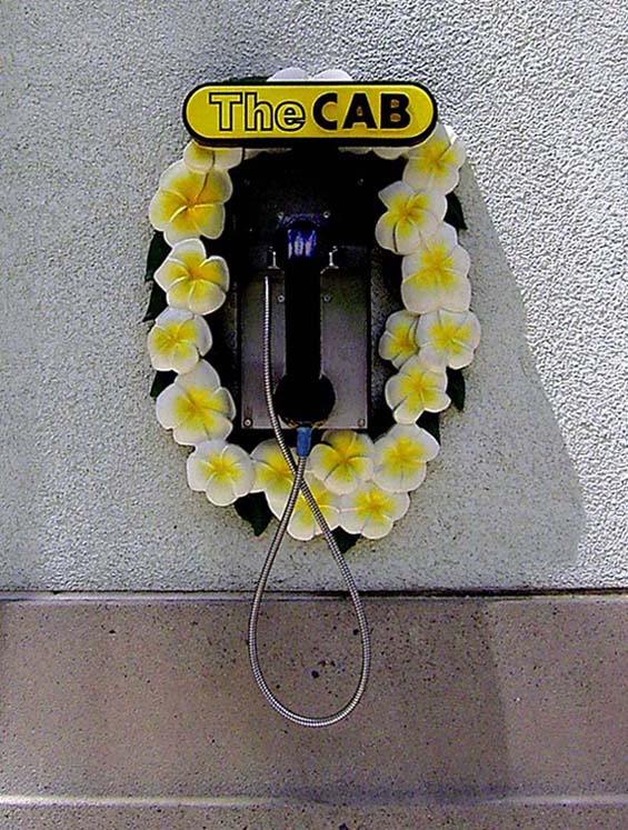 Aloha Taxi!