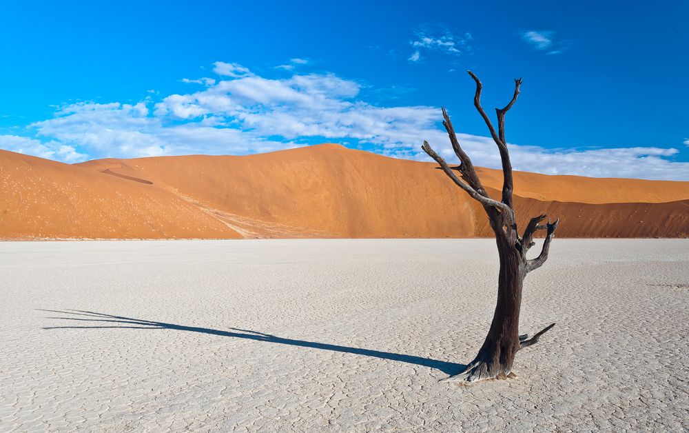 alone ... von Norbert Freudenthaler 