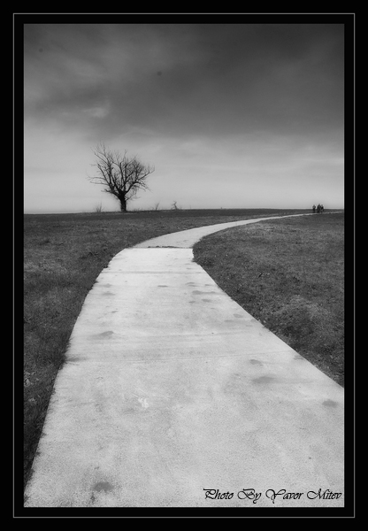 Alone....