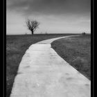 Alone....