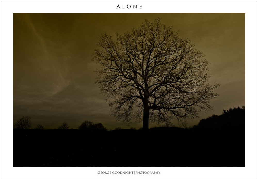 Alone