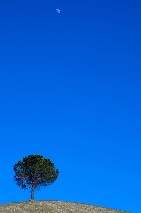 alone (and the moon)