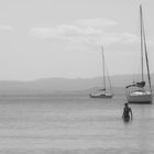 Alone At The Beach