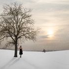 Alone between the sky and snow