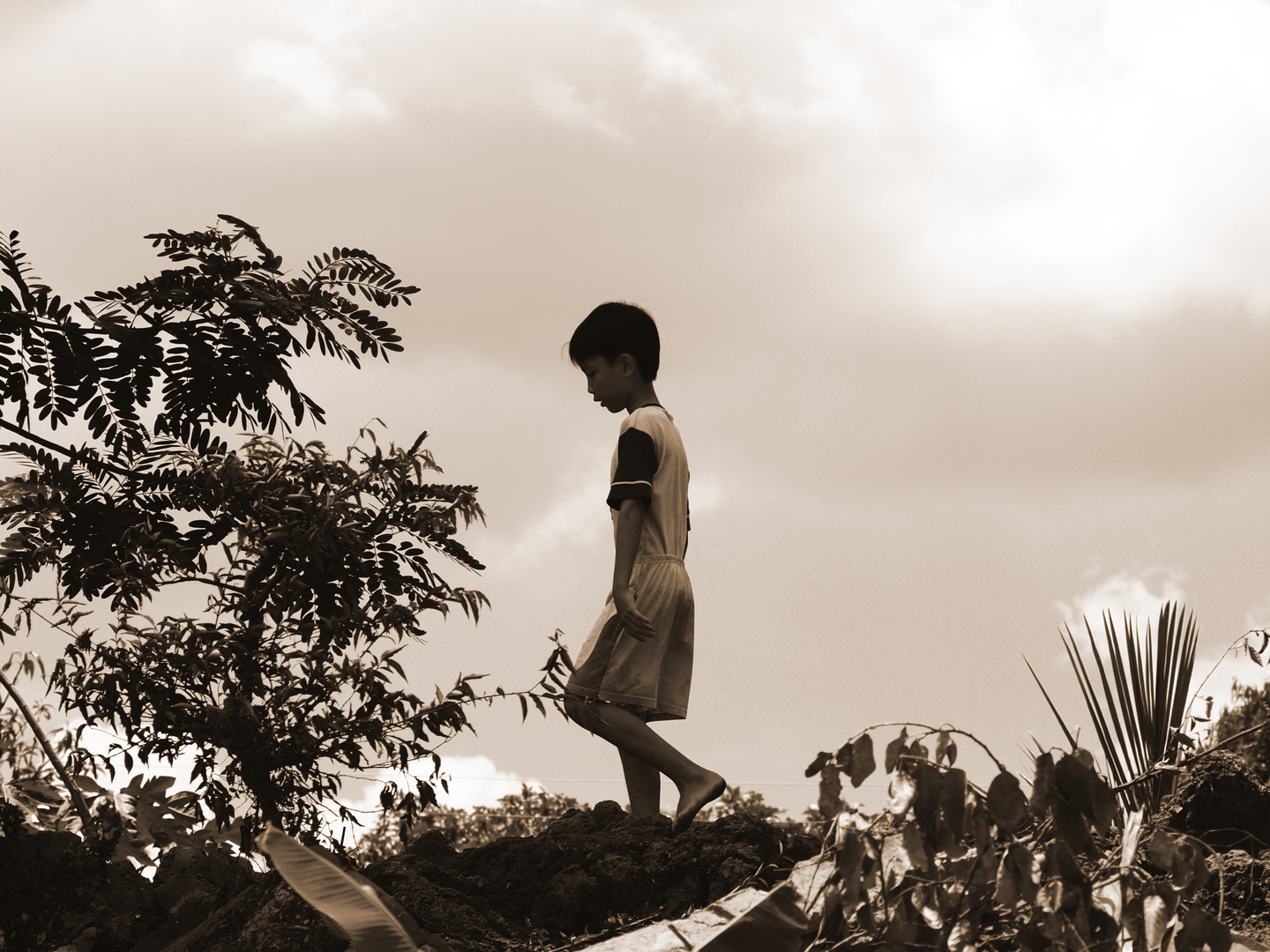 alone im Mekong Delta 2