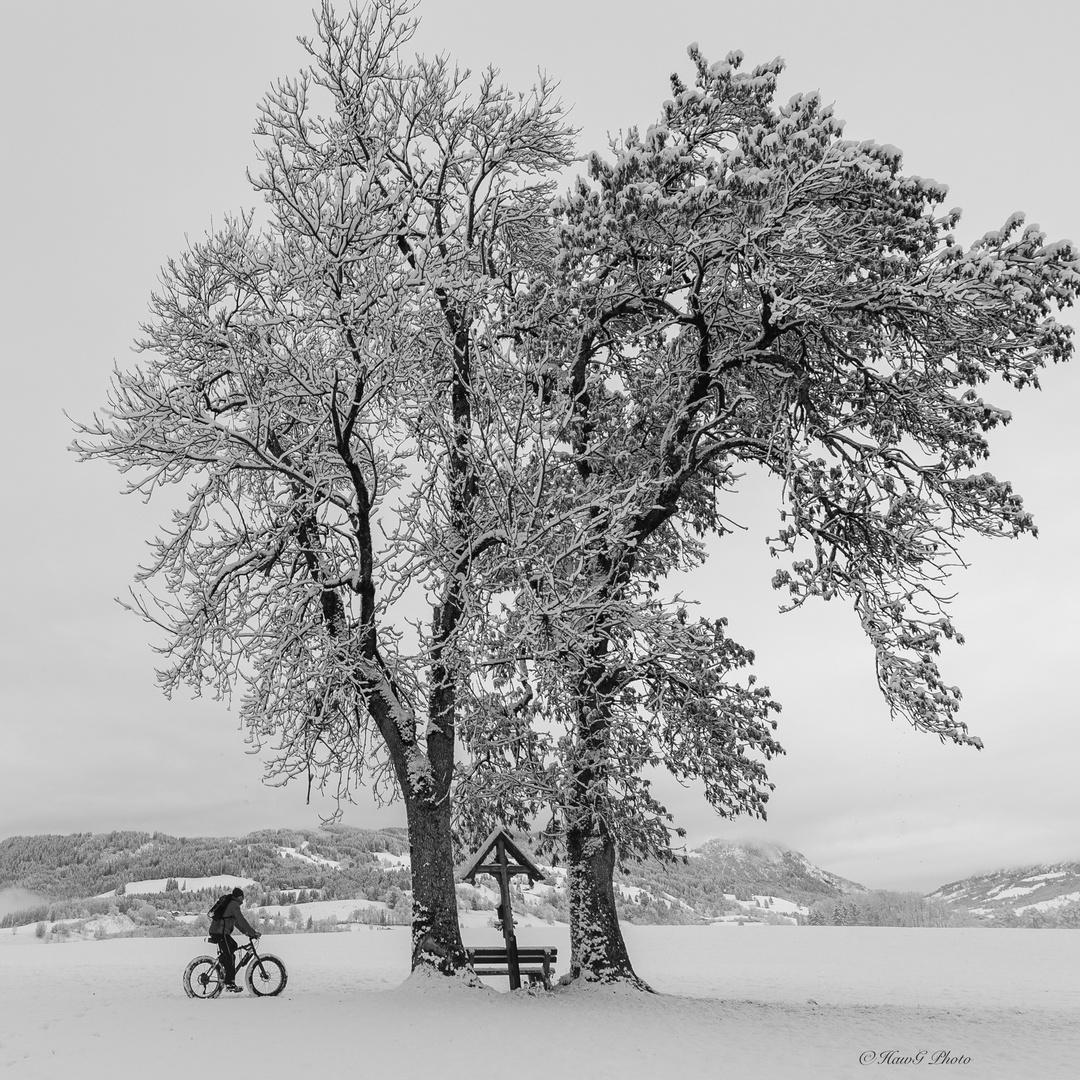 alone in b/w _NR_128387