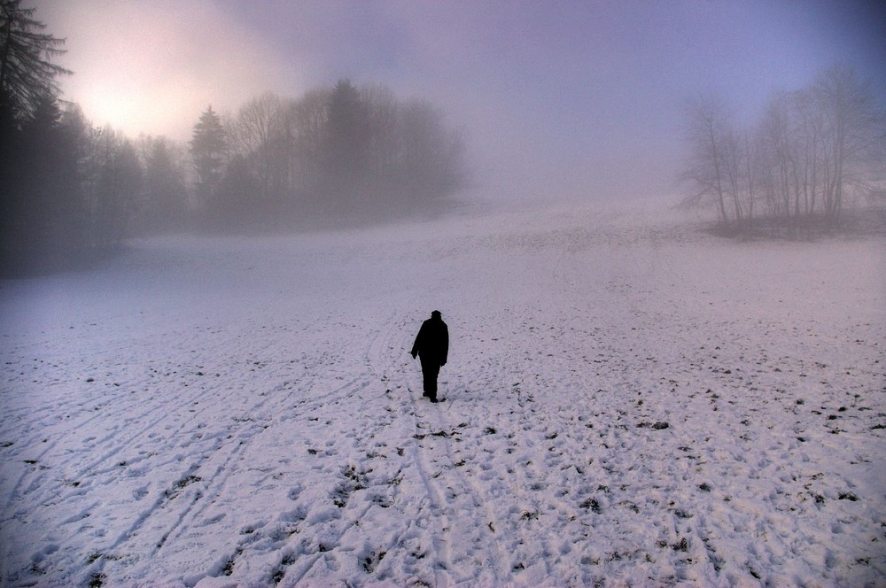 Alone in Snow 2