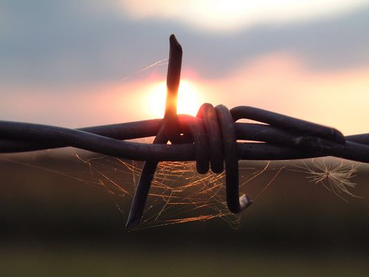 Alone in the Dark III