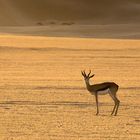 Alone in the Dunes.