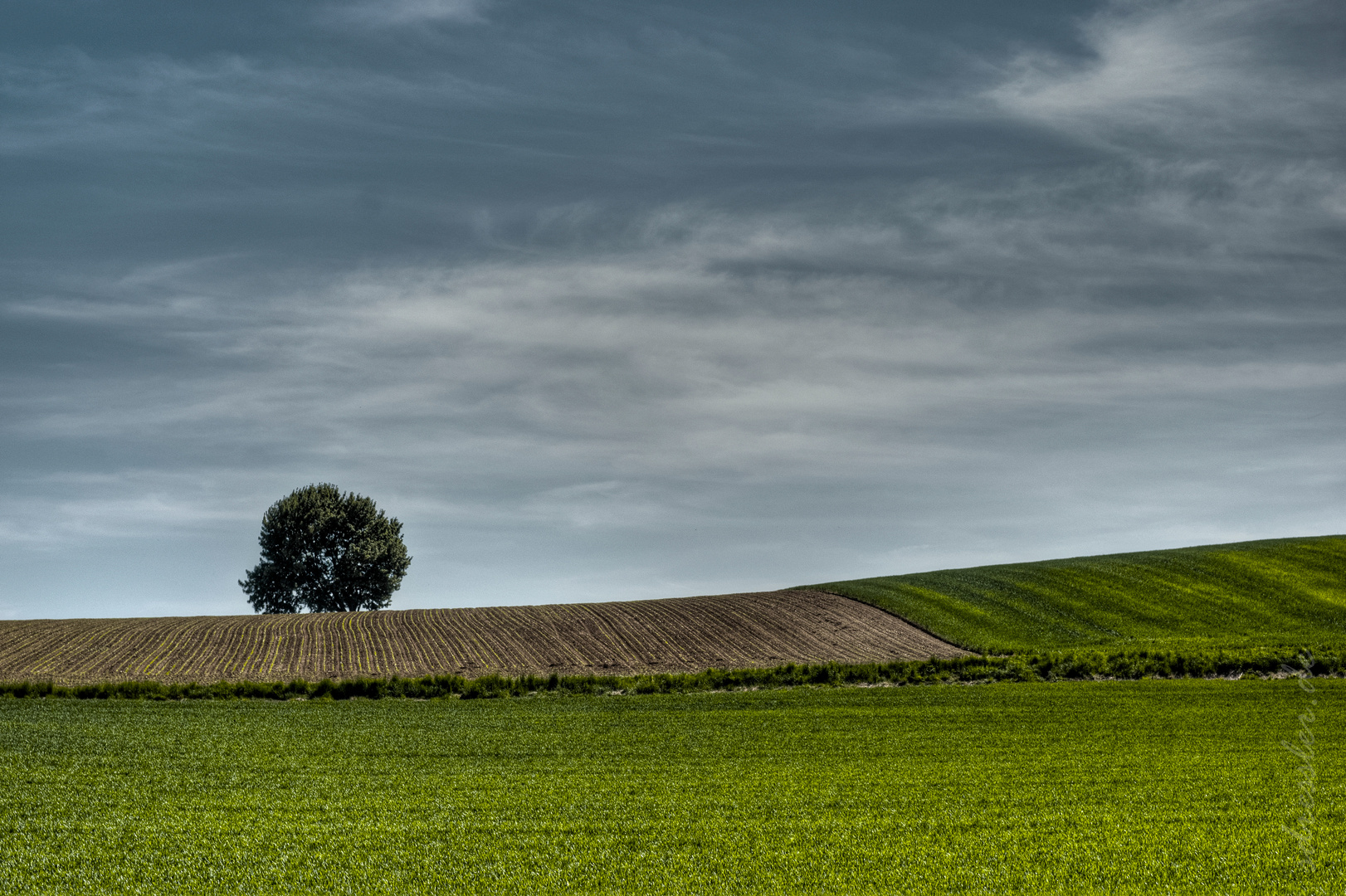 . : alone in the field : .