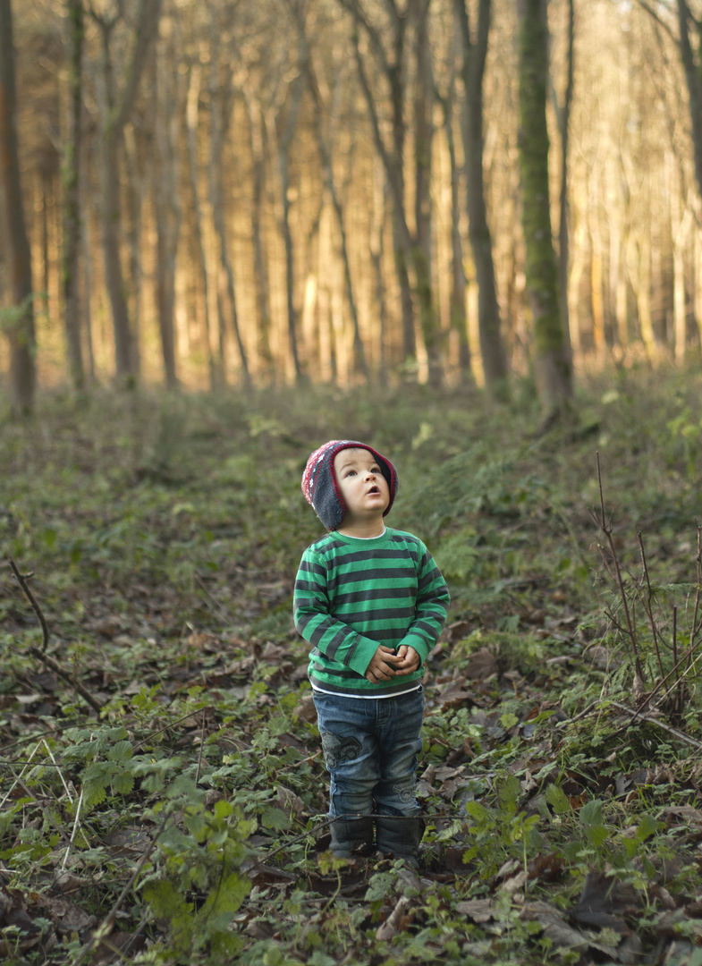 alone in the forest