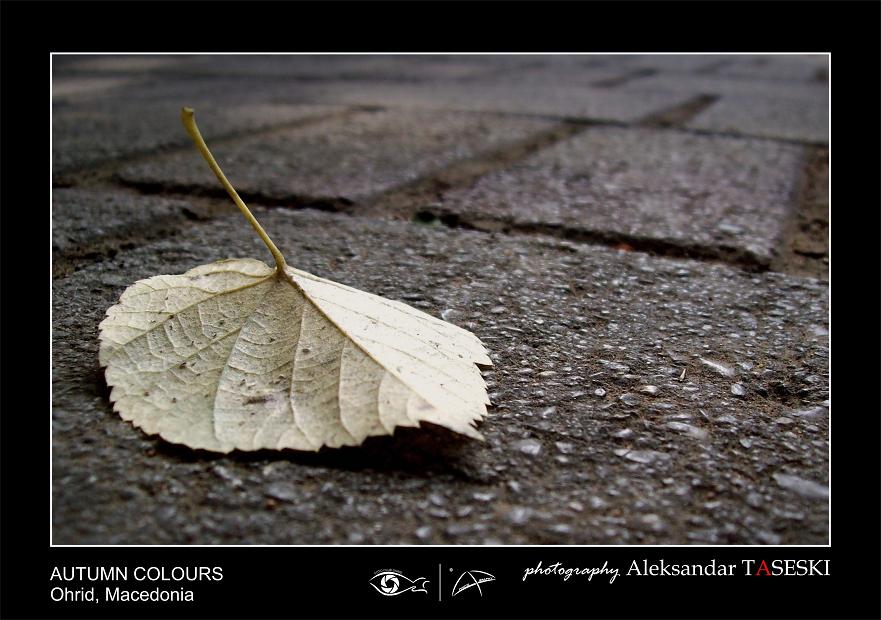 Alone in the park