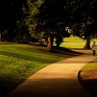 alone in the park