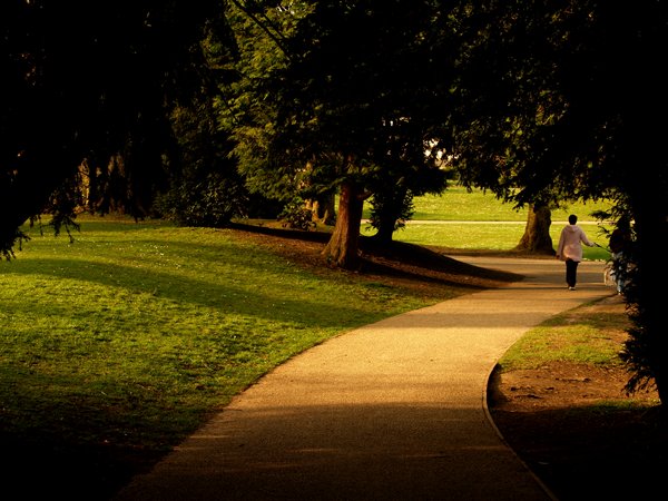 alone in the park by yorkie2118 