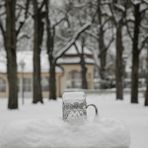 Alone in the snow