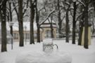 Alone in the snow von Oliver Ertl 