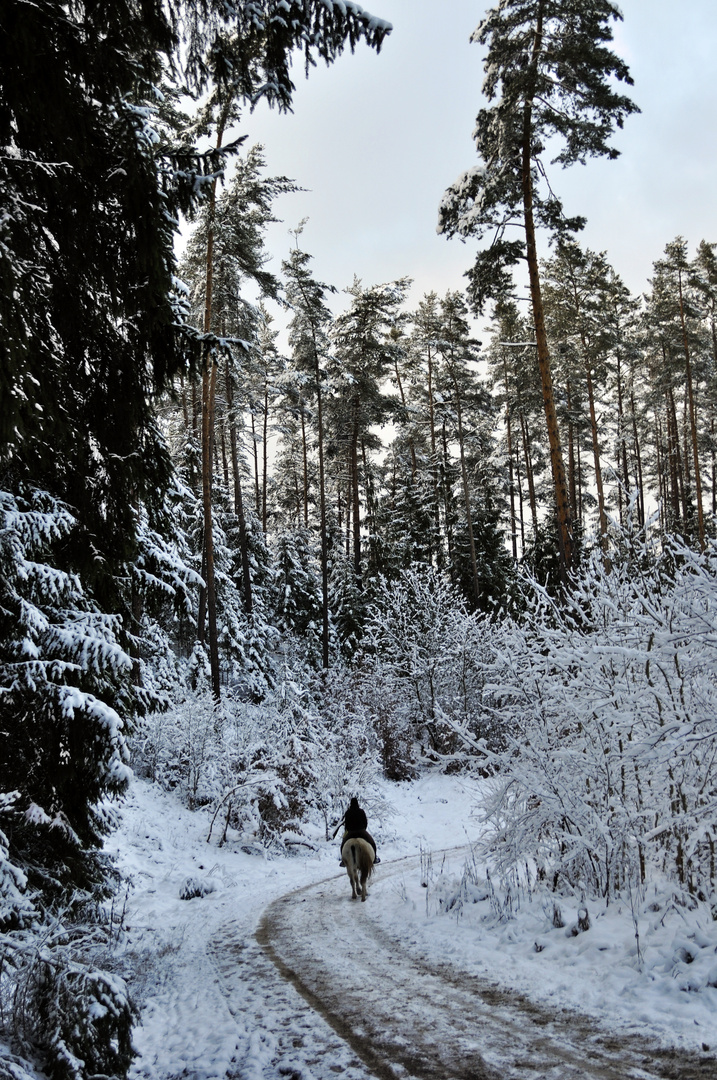 Alone in the woods