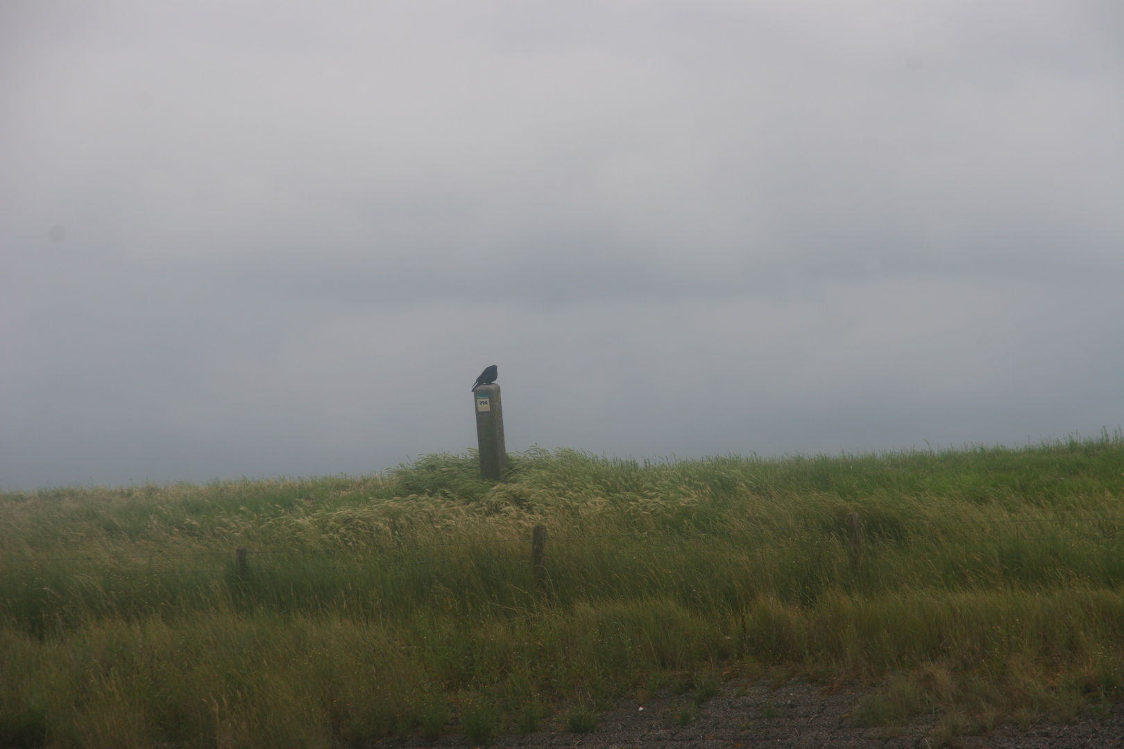 alone in Zeeland