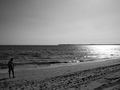 alone on the beach de daciandorca 