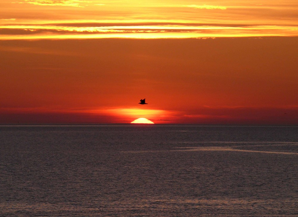 alone over the sea (Sjælland - DK)