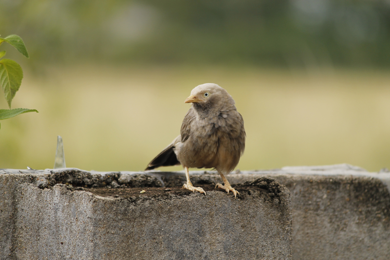 Alone.. So Angry...!