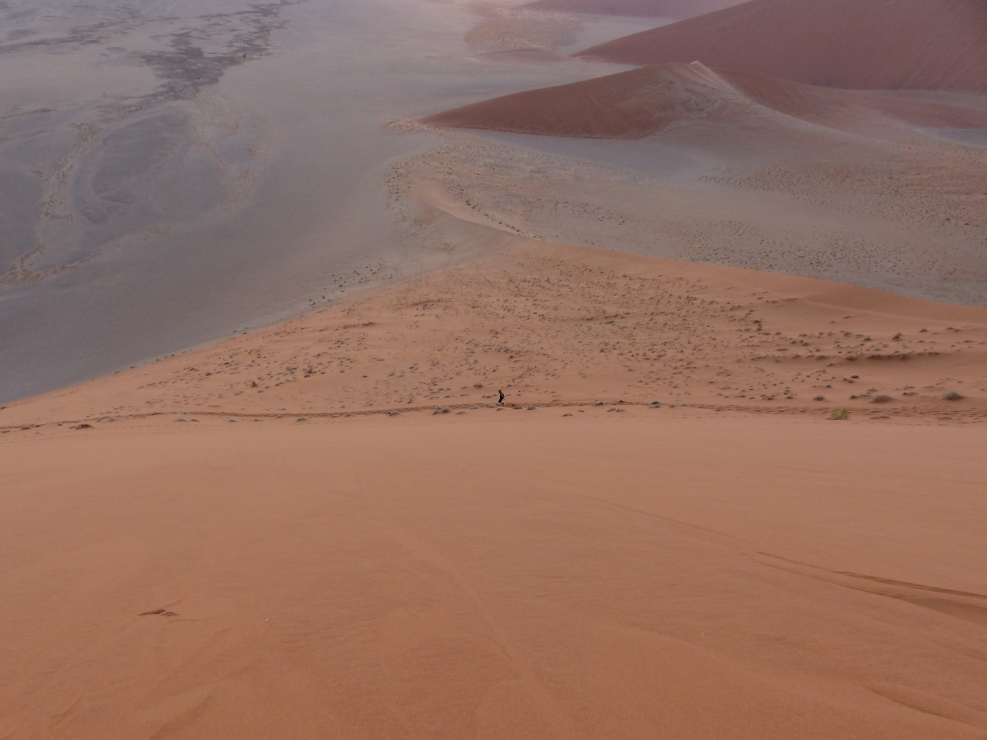 "Alone" - Sossusvlei / Namibia