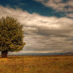 alone with the clouds.......