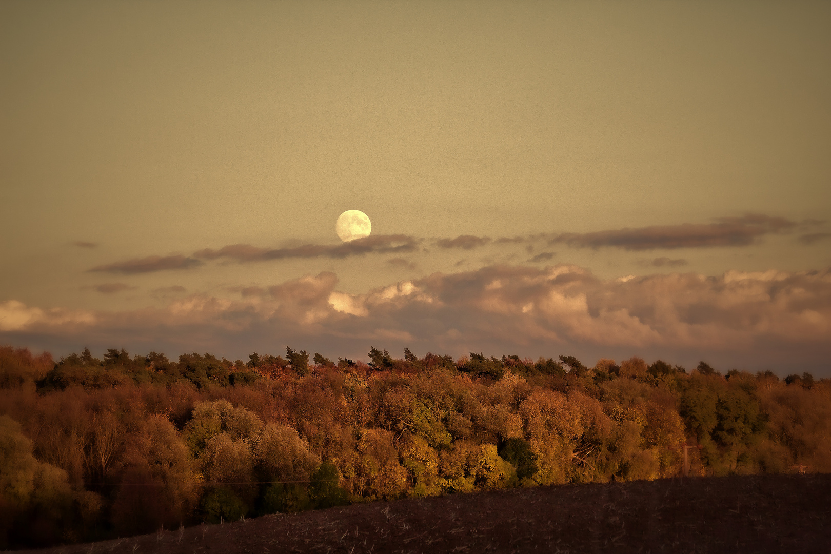 Alone with the moon