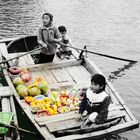 Along Halong bay