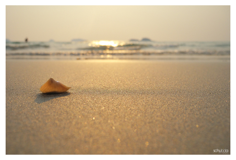 along the beach