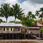 Along the Berau river