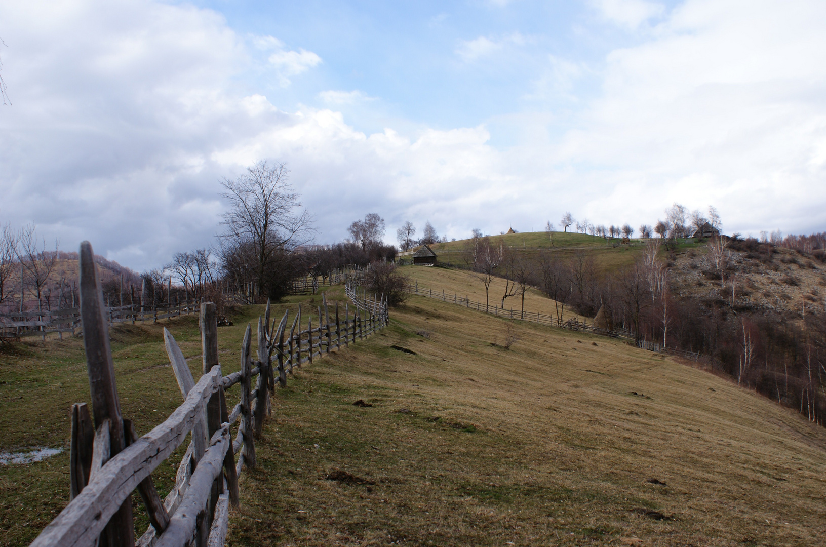 Along The Border