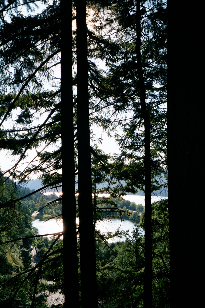 Along the Columbia in Oregon