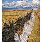 Along the dry stone wall