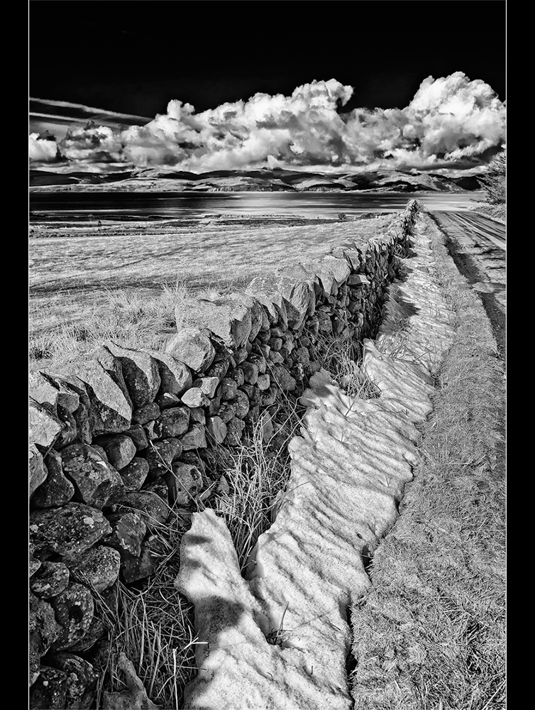 Along the dry stone wall (s/w)